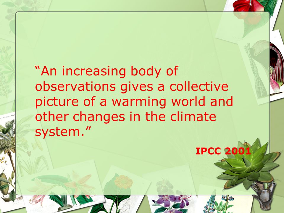 An increasing body of observations gives a collective picture of a warming world and other changes in the climate system. IPCC 2001