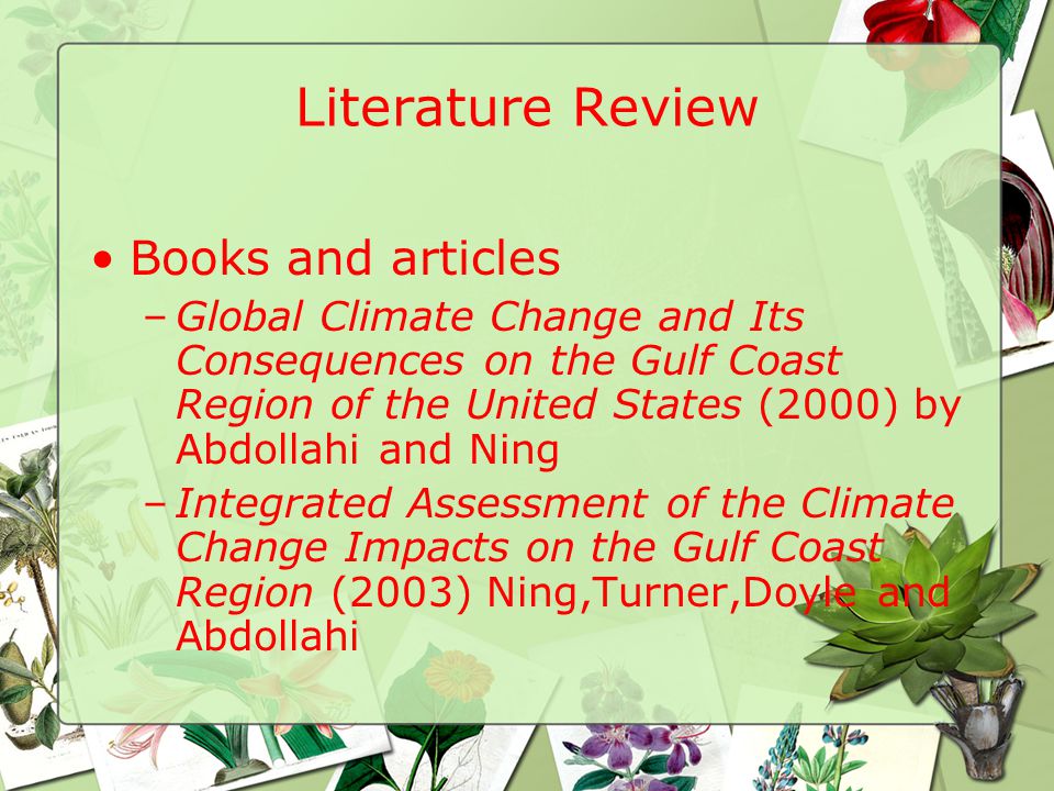 Literature Review Books and articles –Global Climate Change and Its Consequences on the Gulf Coast Region of the United States (2000) by Abdollahi and Ning –Integrated Assessment of the Climate Change Impacts on the Gulf Coast Region (2003) Ning,Turner,Doyle and Abdollahi
