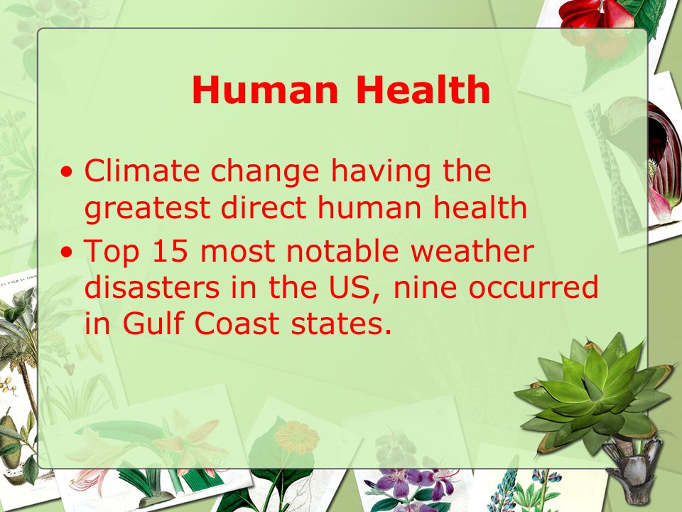 Human Health Climate change having the greatest direct human health Top 15 most notable weather disasters in the US, nine occurred in Gulf Coast states.