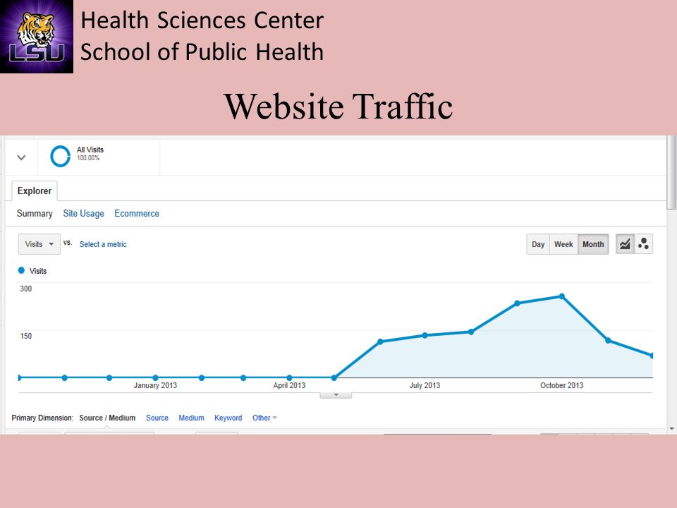 Health Sciences Center School of Public Health Website Traffic