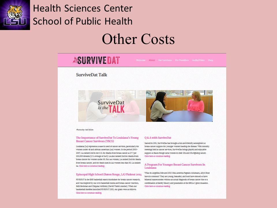 Health Sciences Center School of Public Health Other Costs