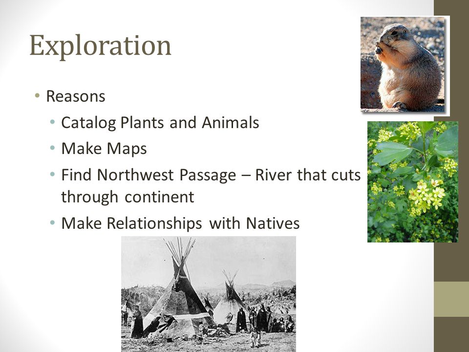 Exploration Reasons Catalog Plants and Animals Make Maps Find Northwest Passage – River that cuts through continent Make Relationships with Natives