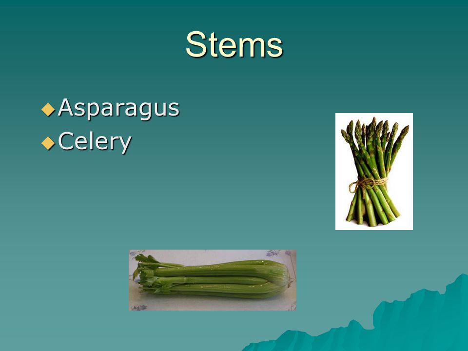Stems  Asparagus  Celery
