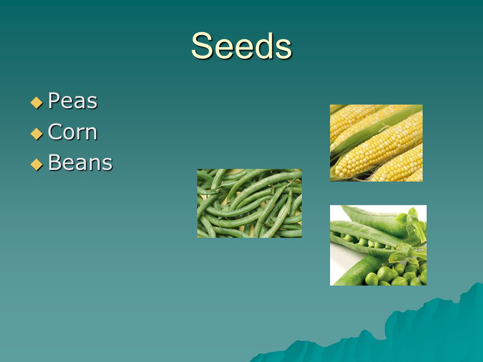 Seeds  Peas  Corn  Beans