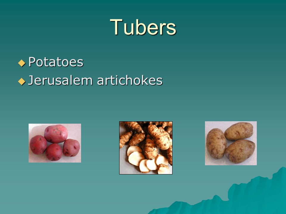 Tubers  Potatoes  Jerusalem artichokes