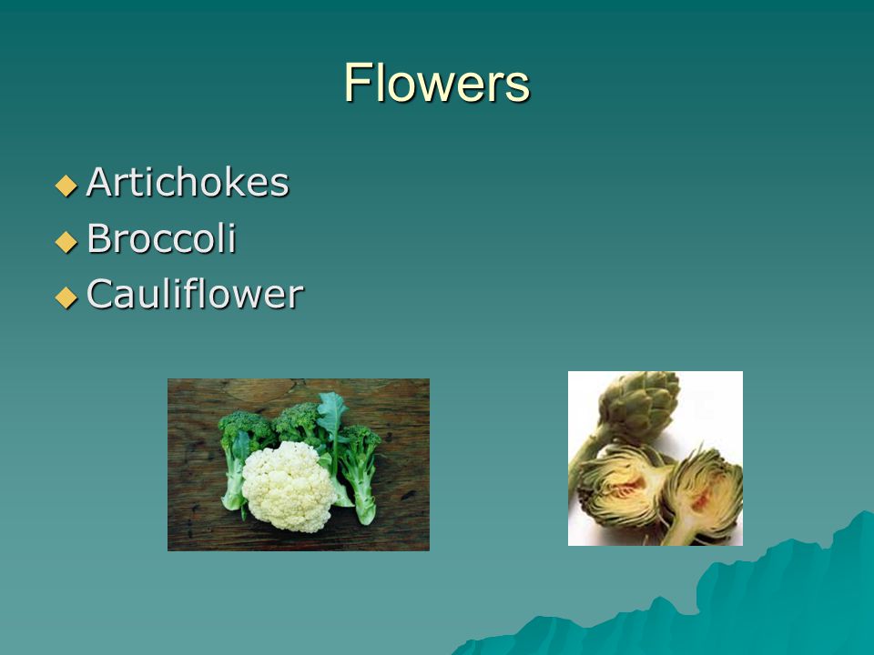 Flowers  Artichokes  Broccoli  Cauliflower