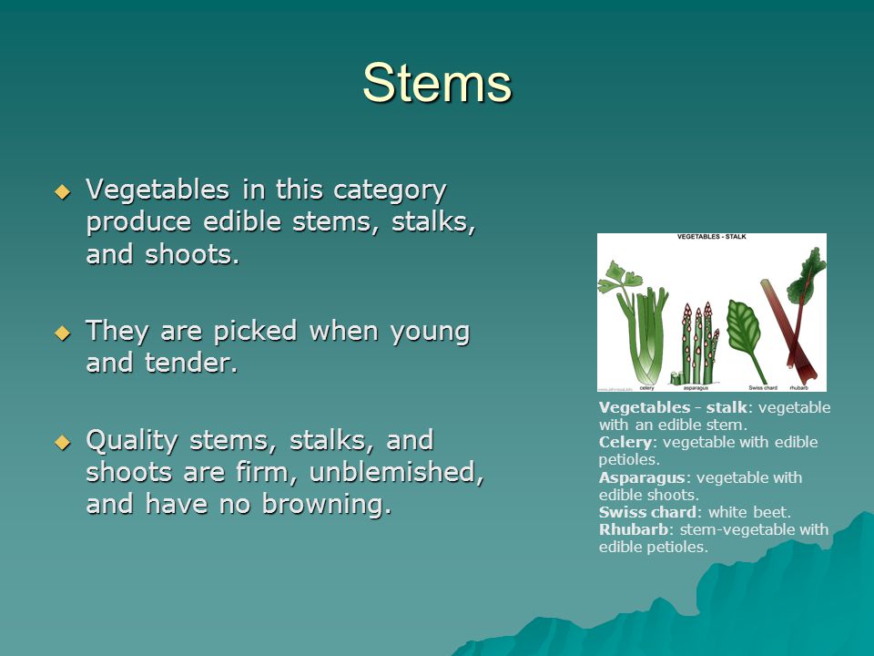 Stems  Vegetables in this category produce edible stems, stalks, and shoots.