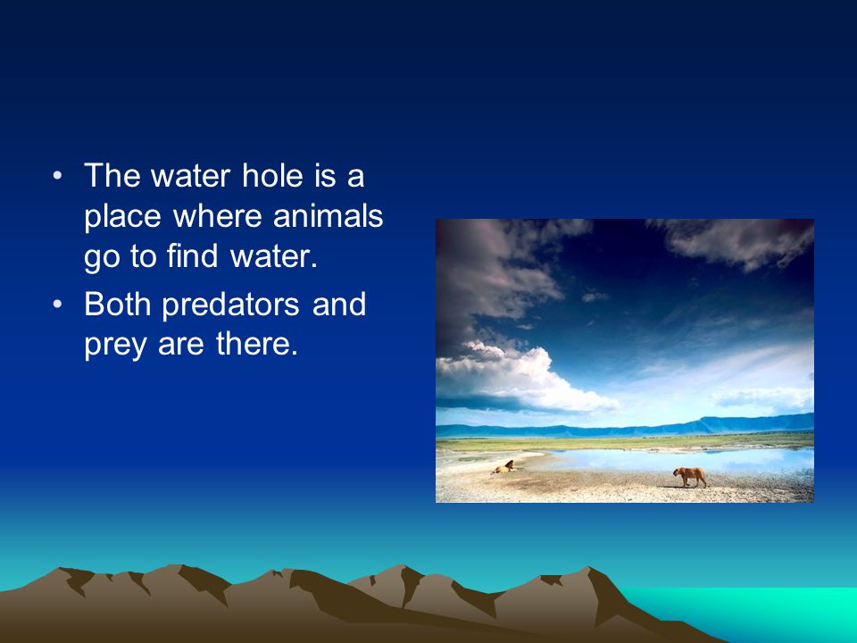 The water hole is a place where animals go to find water. Both predators and prey are there.
