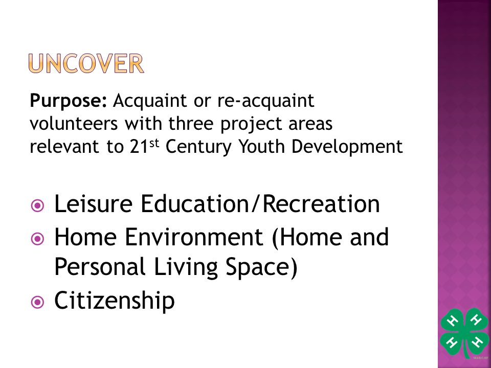Purpose: Acquaint or re-acquaint volunteers with three project areas relevant to 21 st Century Youth Development  Leisure Education/Recreation  Home Environment (Home and Personal Living Space)  Citizenship
