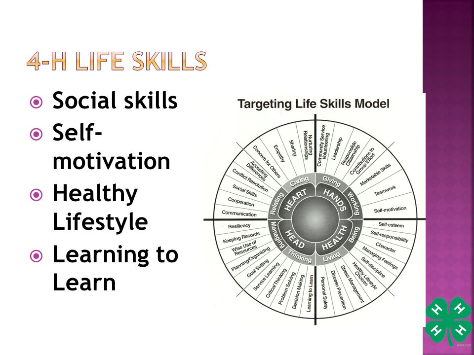  Social skills  Self- motivation  Healthy Lifestyle  Learning to Learn