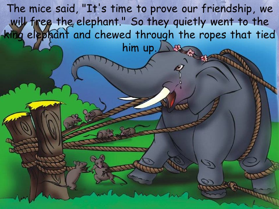 It s an elephant. Who follows the Elephant will have no problems смысл. Have Elephants got short noses? No they.