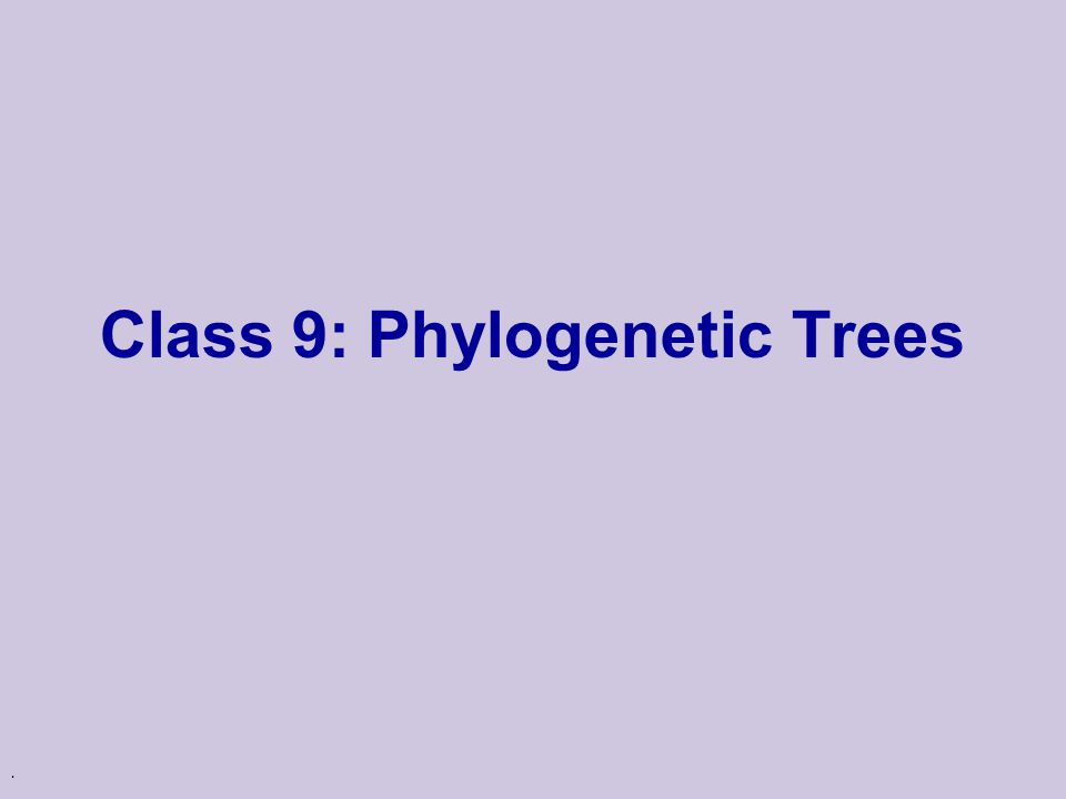 . Class 9: Phylogenetic Trees