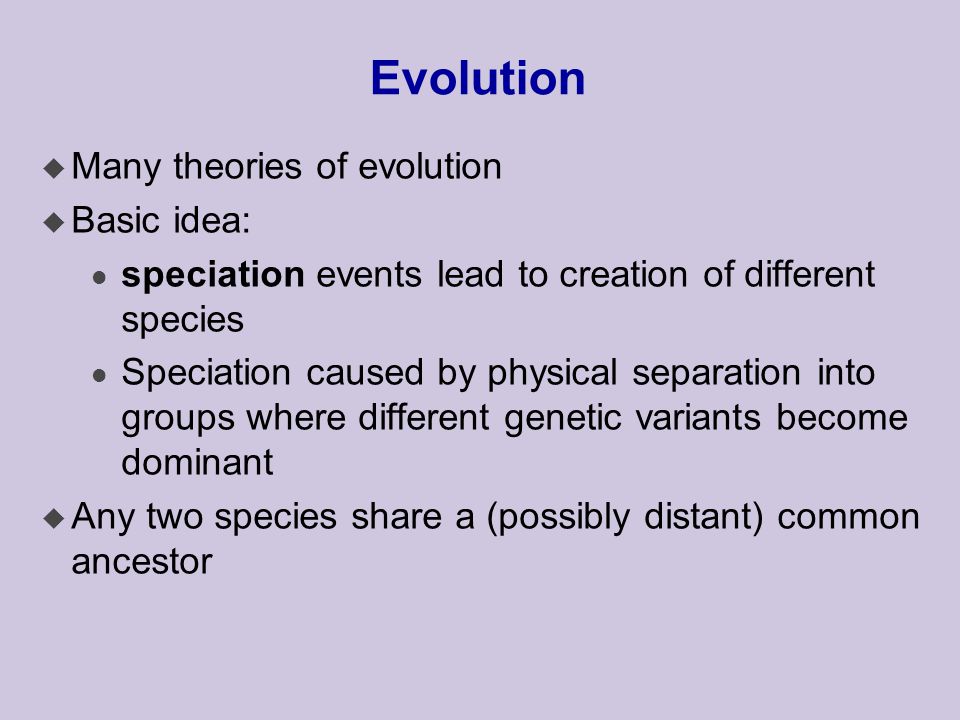 Evolution u Many theories of evolution u Basic idea: l speciation events lead to creation of different species l Speciation caused by physical separation into groups where different genetic variants become dominant u Any two species share a (possibly distant) common ancestor