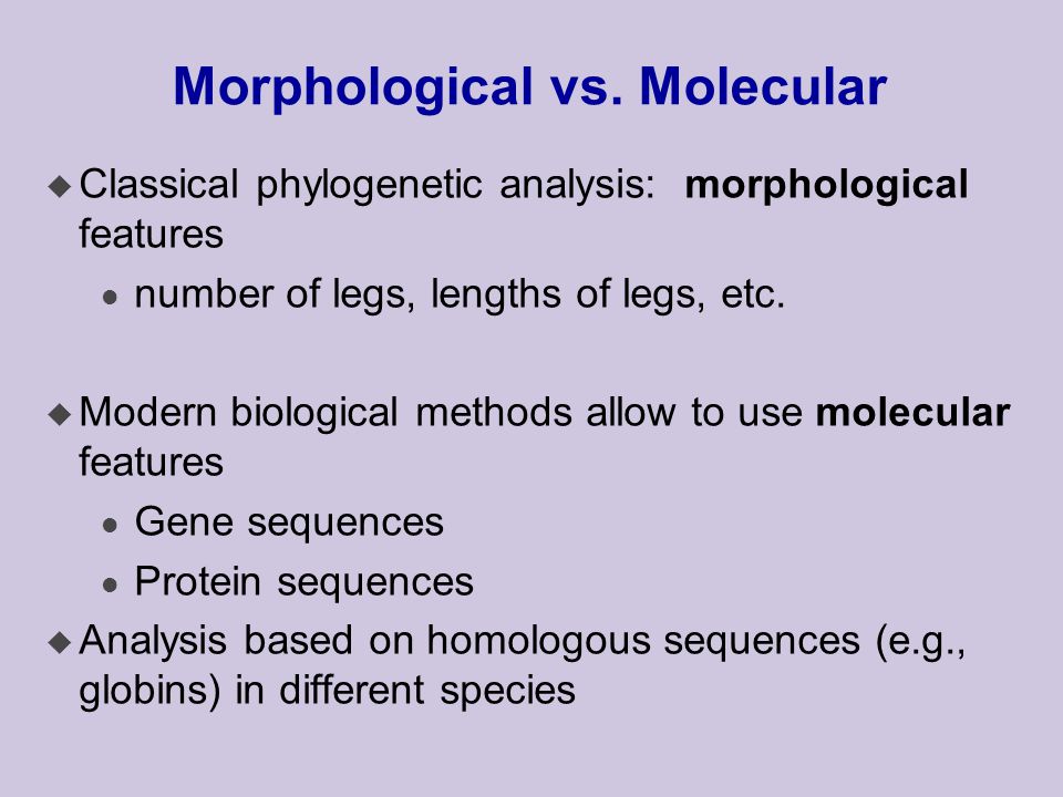 Morphological vs.