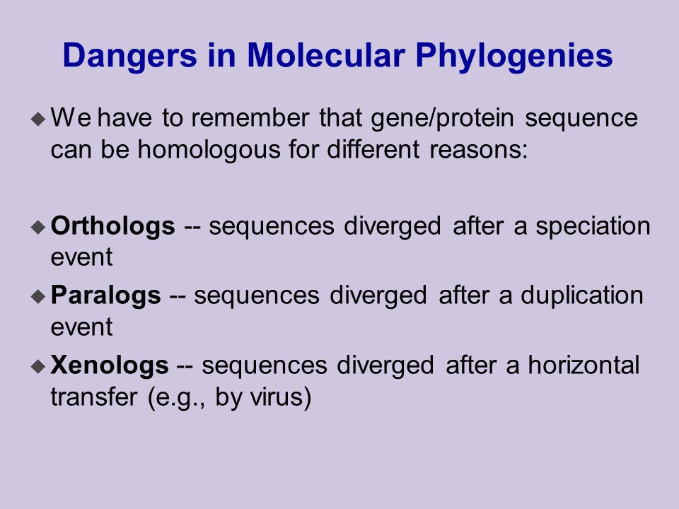 Dangers in Molecular Phylogenies u We have to remember that gene/protein sequence can be homologous for different reasons: u Orthologs -- sequences diverged after a speciation event u Paralogs -- sequences diverged after a duplication event u Xenologs -- sequences diverged after a horizontal transfer (e.g., by virus)