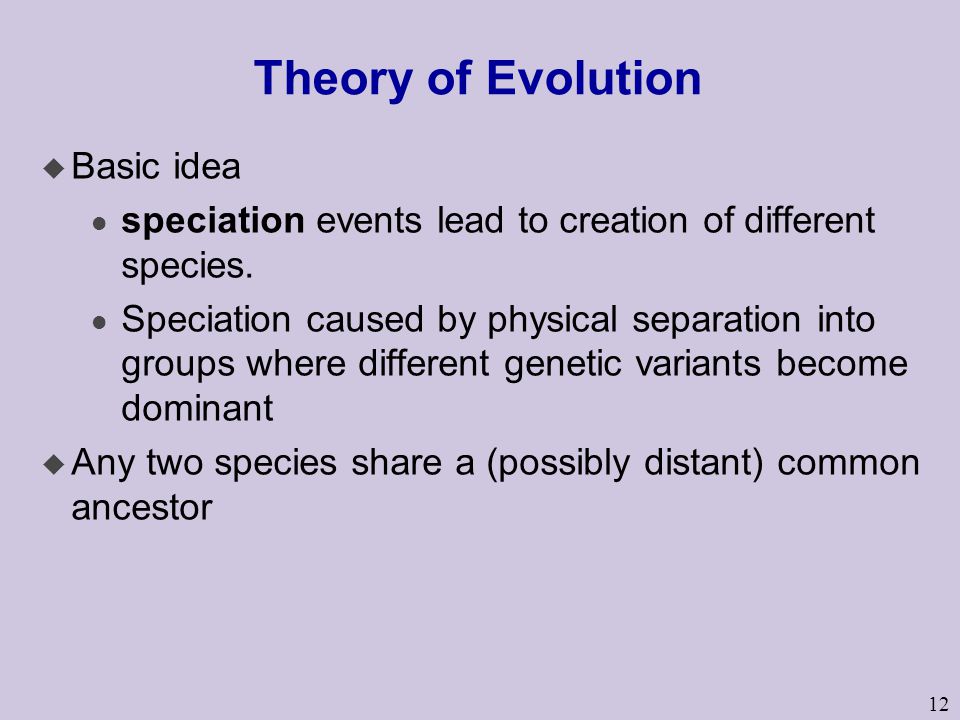 12 Theory of Evolution u Basic idea l speciation events lead to creation of different species.