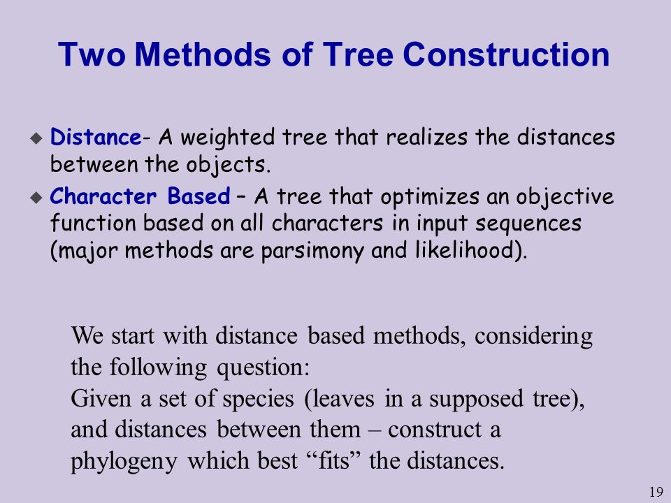 19 Two Methods of Tree Construction u Distance- A weighted tree that realizes the distances between the objects.