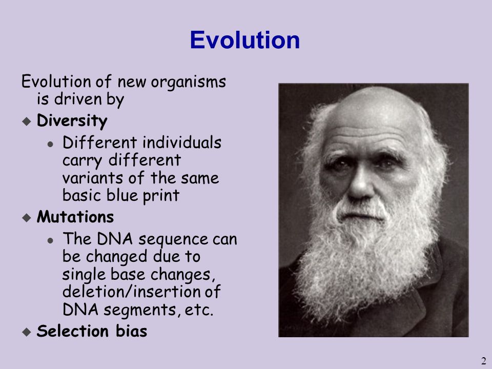 2 Evolution Evolution of new organisms is driven by u Diversity l Different individuals carry different variants of the same basic blue print u Mutations l The DNA sequence can be changed due to single base changes, deletion/insertion of DNA segments, etc.