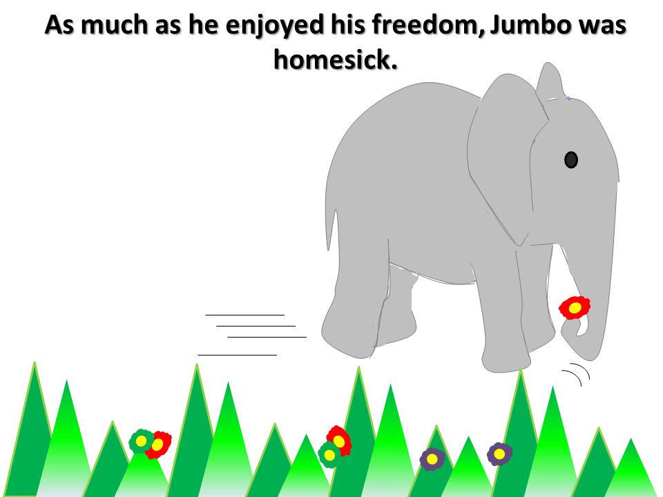 As much as he enjoyed his freedom, Jumbo was homesick.