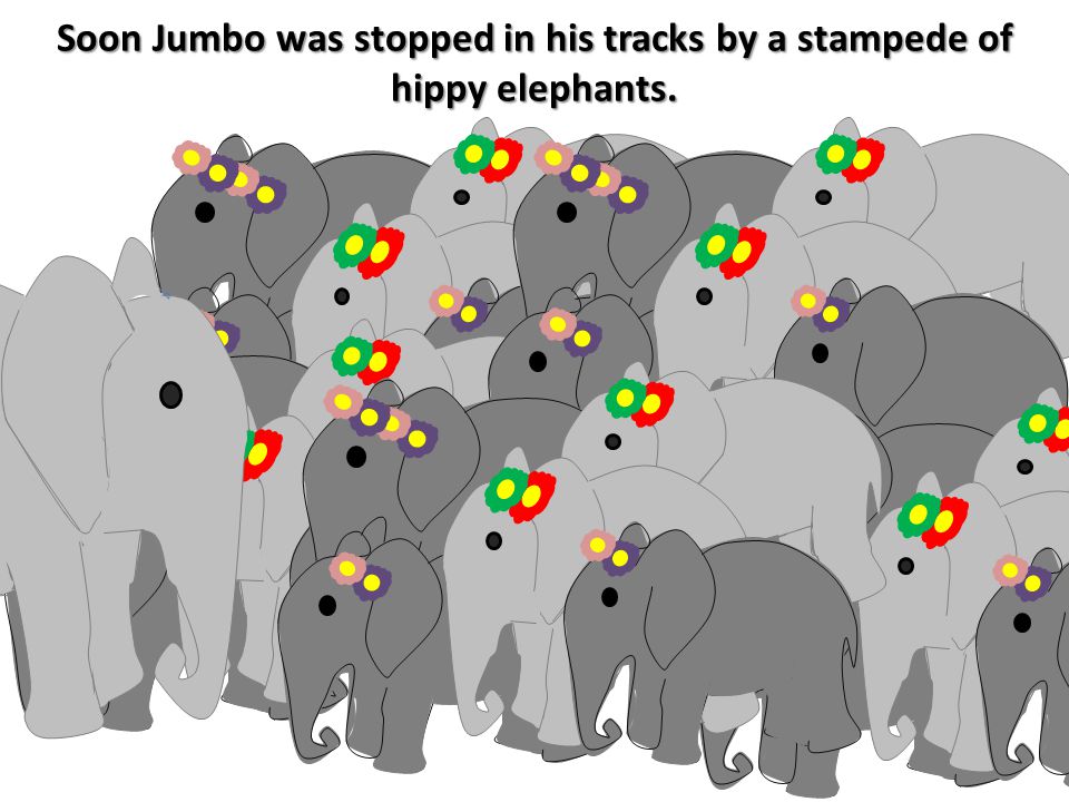 Soon Jumbo was stopped in his tracks by a stampede of hippy elephants.
