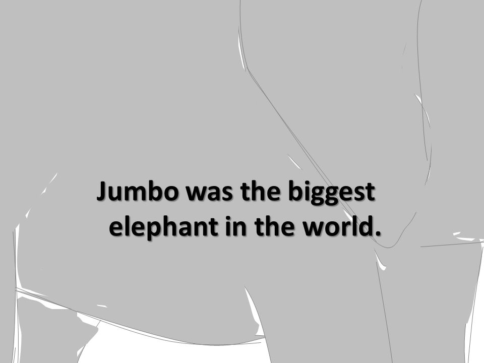 Jumbo was the biggest elephant in the world.