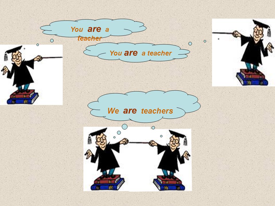 You are a teacher We are teachers