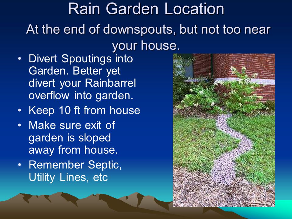 Rain Garden Location At the end of downspouts, but not too near your house.