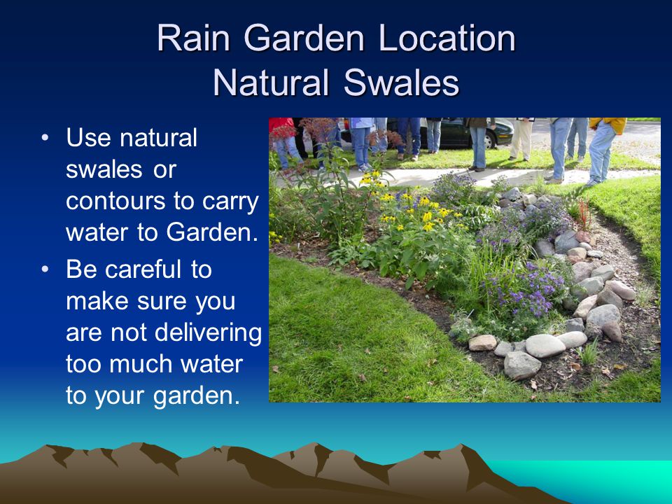 Rain Garden Location Natural Swales Use natural swales or contours to carry water to Garden.