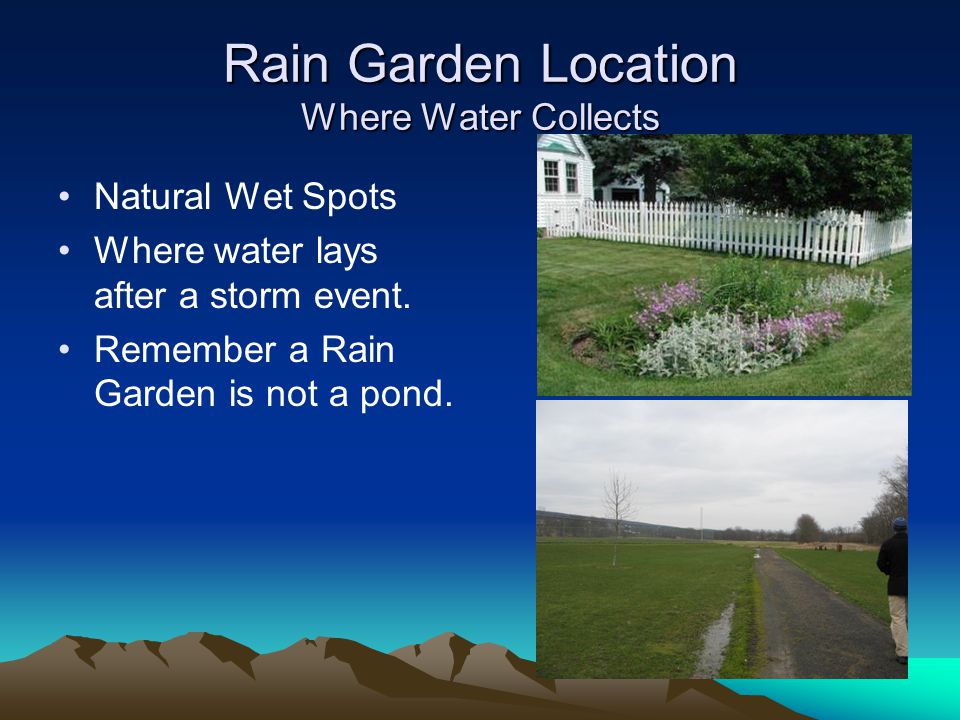 Rain Garden Location Where Water Collects Natural Wet Spots Where water lays after a storm event.