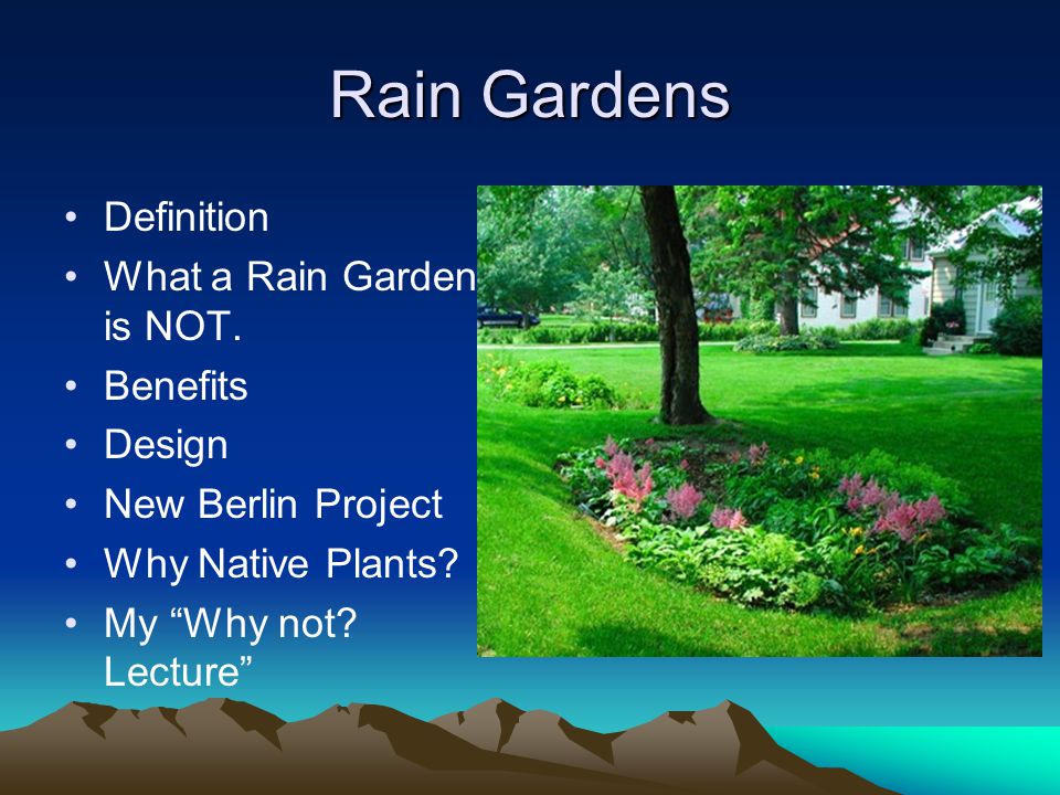 Rain Gardens Definition What a Rain Garden is NOT.