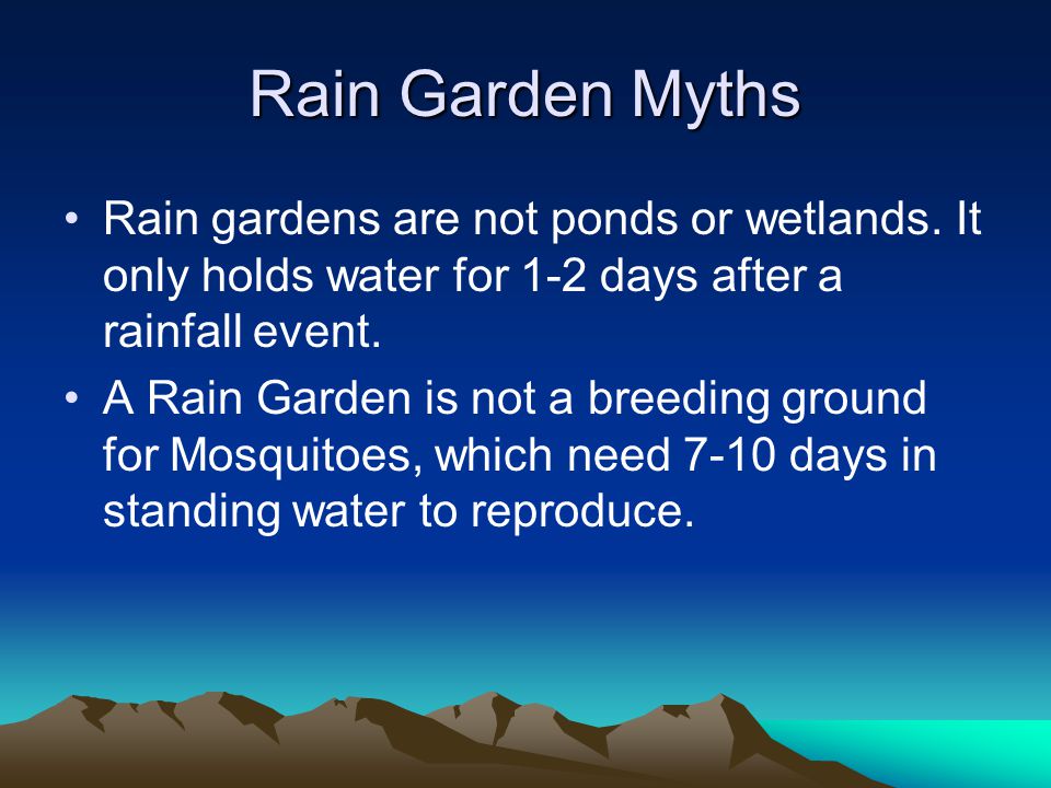 Rain Garden Myths Rain gardens are not ponds or wetlands.