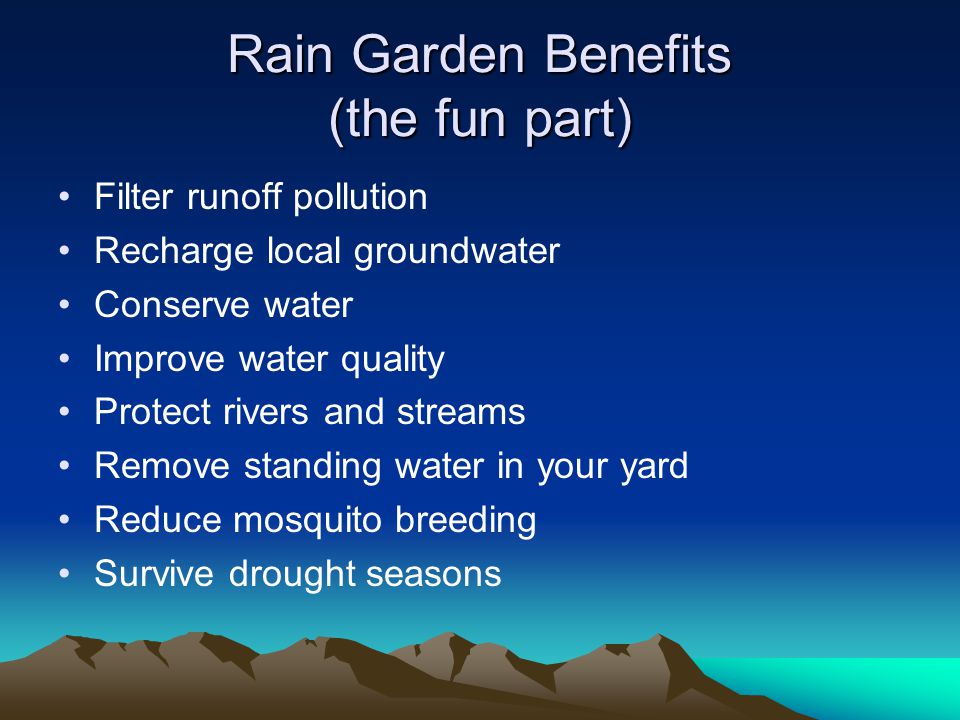 Rain Garden Benefits (the fun part) Filter runoff pollution Recharge local groundwater Conserve water Improve water quality Protect rivers and streams Remove standing water in your yard Reduce mosquito breeding Survive drought seasons