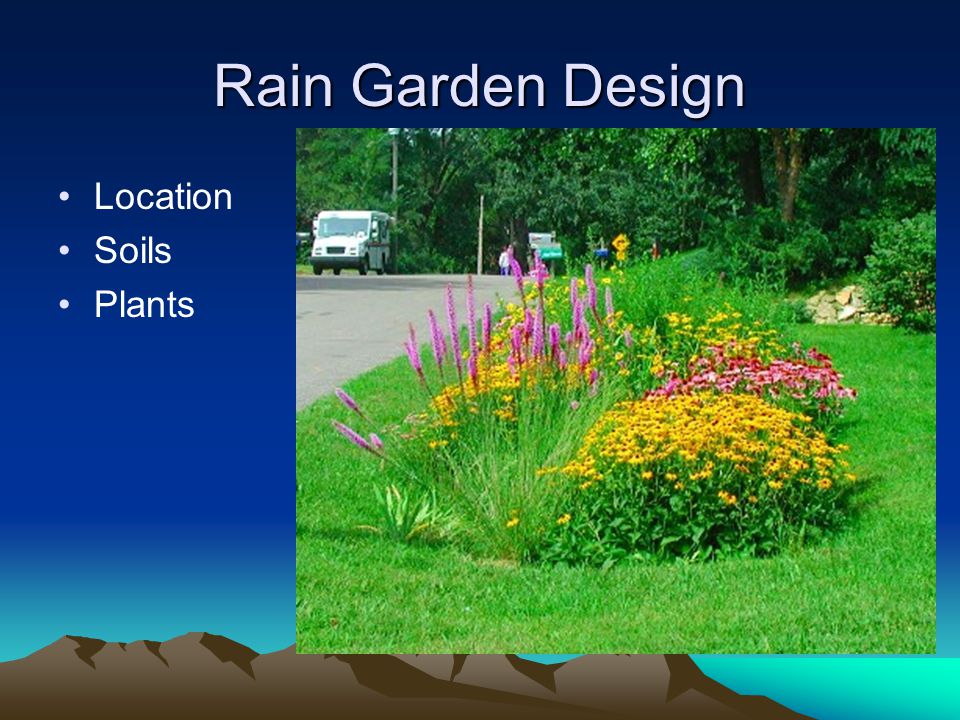 Rain Garden Design Location Soils Plants