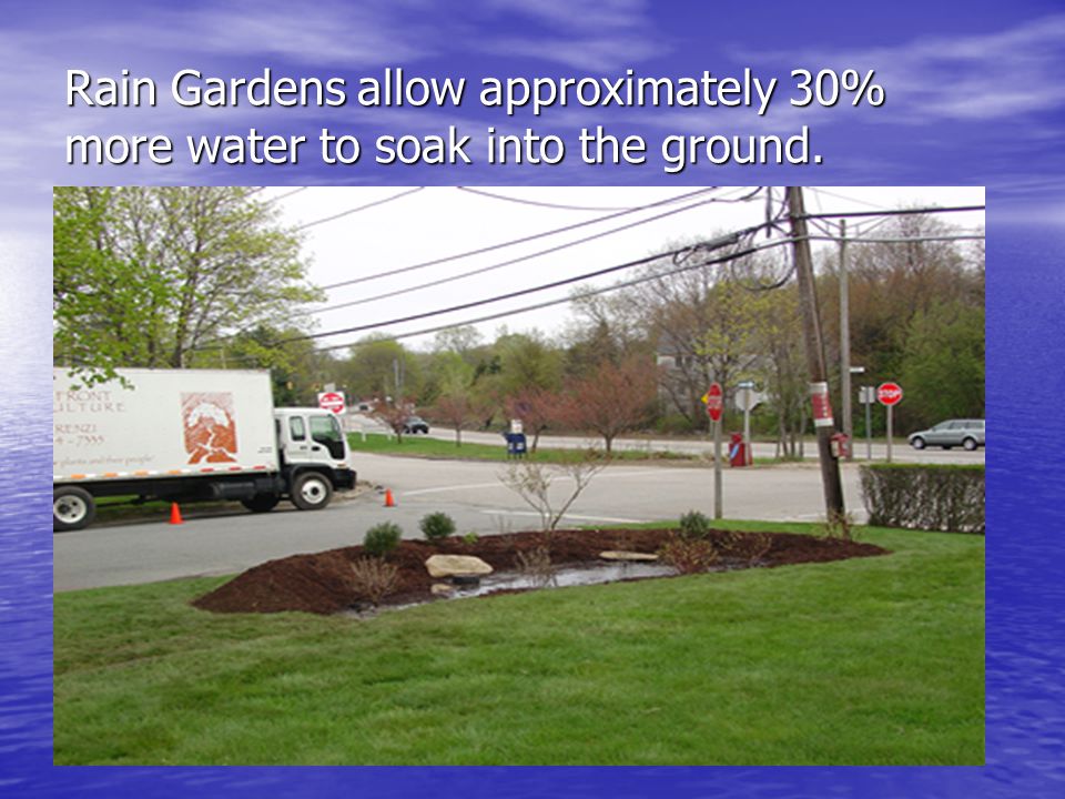 Rain Gardens allow approximately 30% more water to soak into the ground.