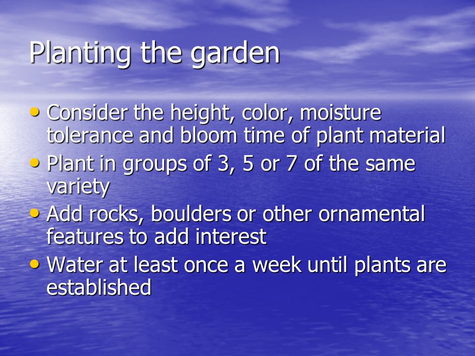 Planting the garden Consider the height, color, moisture tolerance and bloom time of plant material Consider the height, color, moisture tolerance and bloom time of plant material Plant in groups of 3, 5 or 7 of the same variety Plant in groups of 3, 5 or 7 of the same variety Add rocks, boulders or other ornamental features to add interest Add rocks, boulders or other ornamental features to add interest Water at least once a week until plants are established Water at least once a week until plants are established
