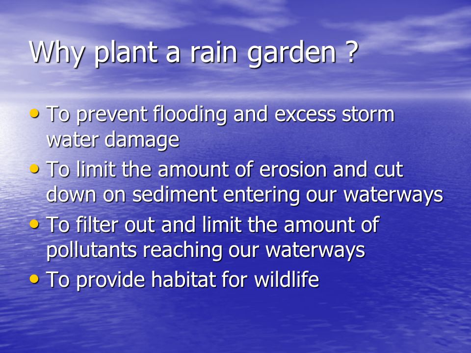 Why plant a rain garden .