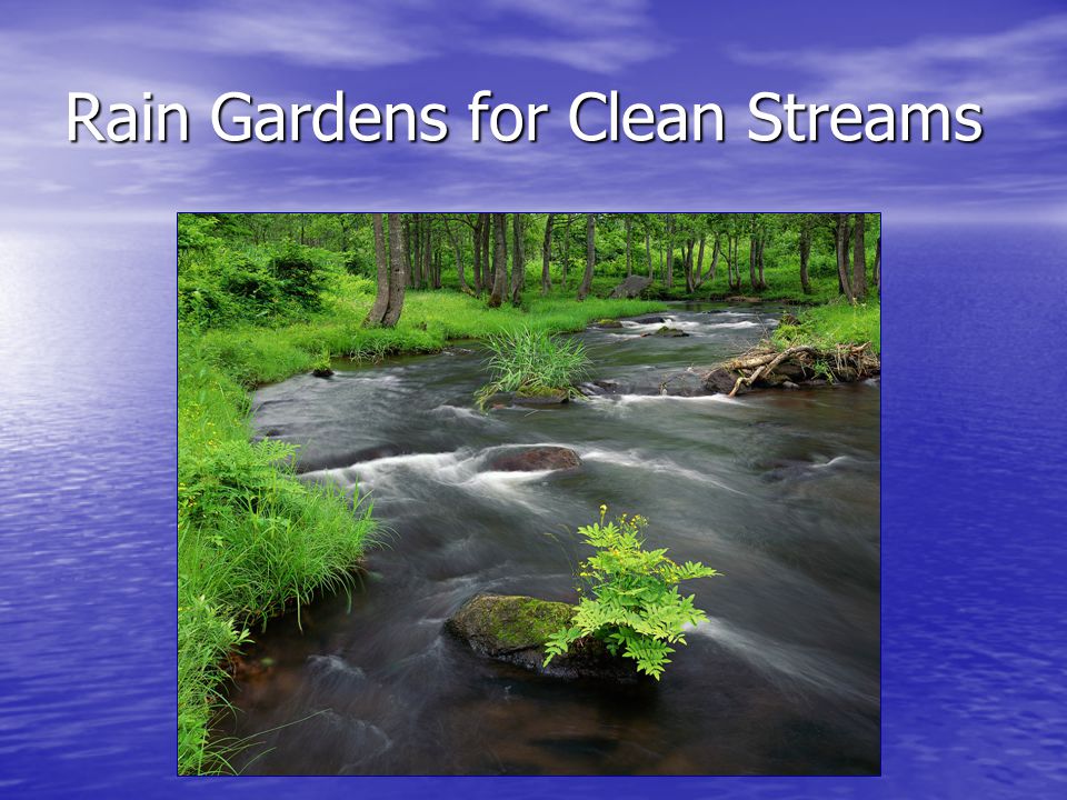 Rain Gardens for Clean Streams
