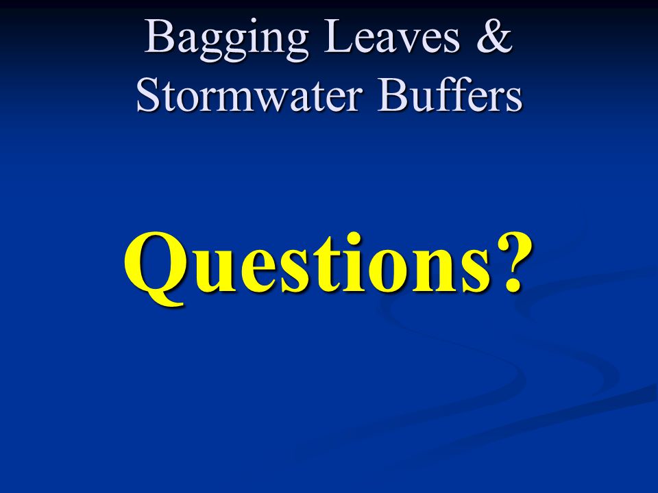 Bagging Leaves & Stormwater Buffers Questions