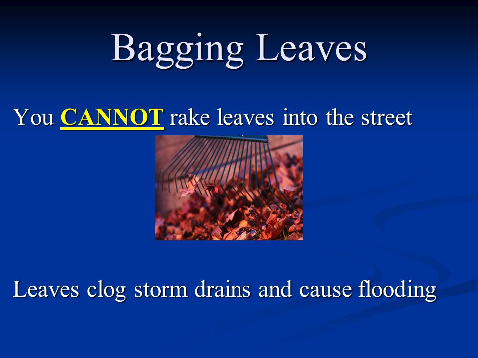 You CANNOT rake leaves into the street Leaves clog storm drains and cause flooding