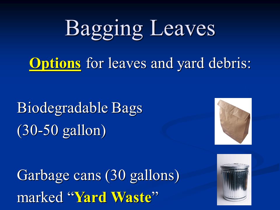 Options for leaves and yard debris: Biodegradable Bags (30-50 gallon) Garbage cans (30 gallons) marked Yard Waste Bagging Leaves