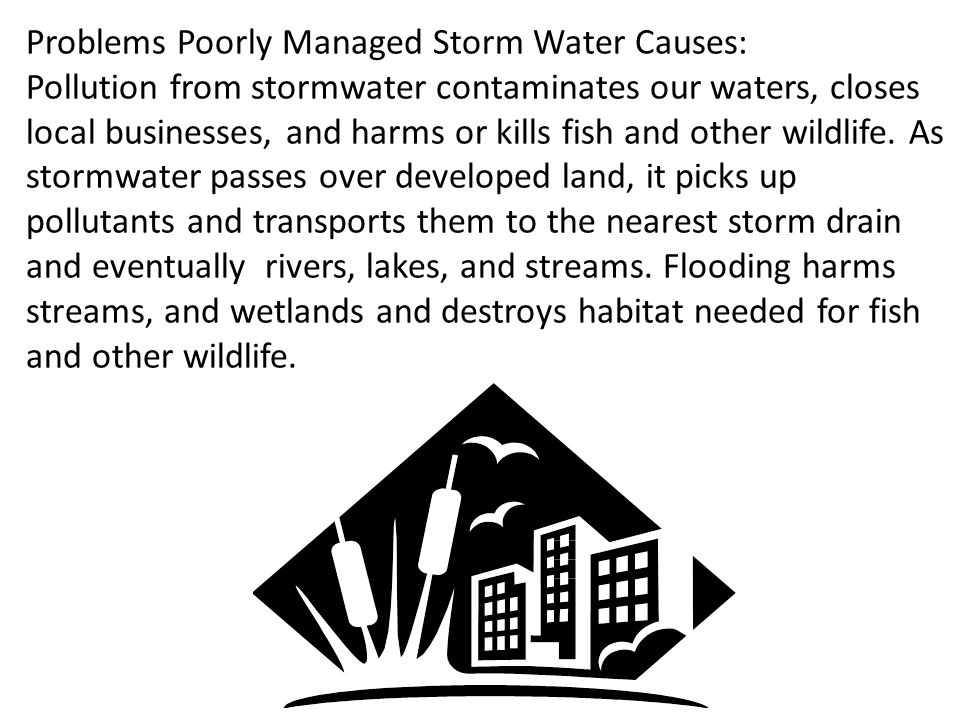 Problems Poorly Managed Storm Water Causes: Pollution from stormwater contaminates our waters, closes local businesses, and harms or kills fish and other wildlife.