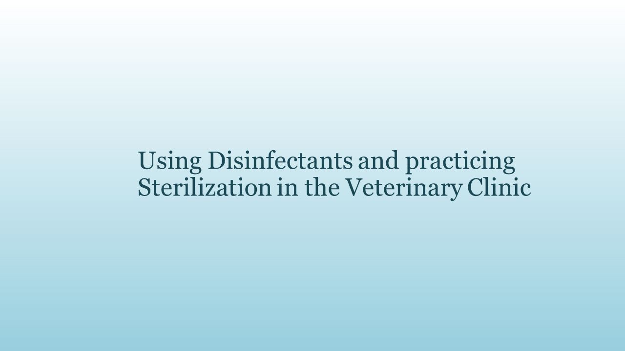 Veterinary Disinfectant Chart
