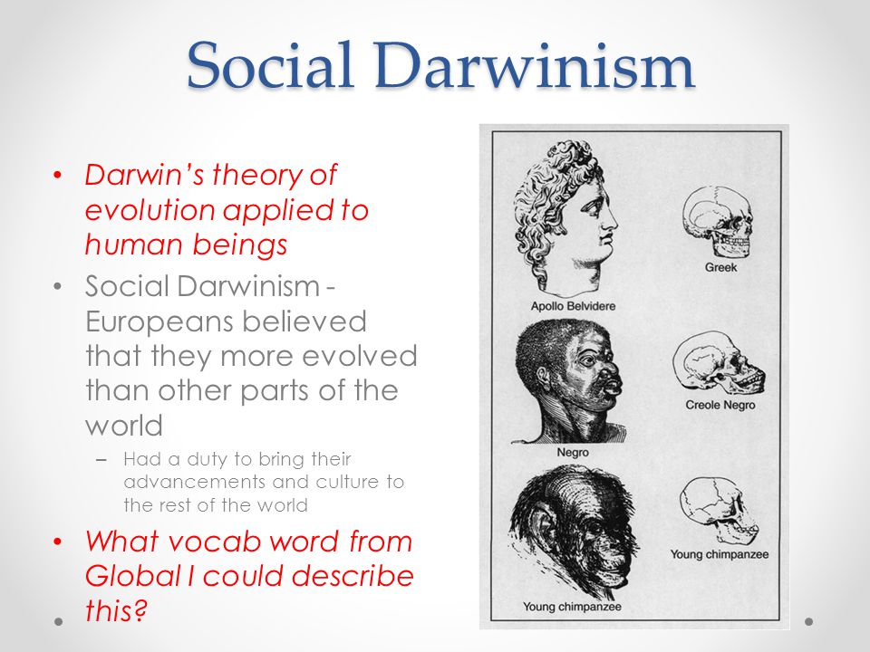 Social Darwinism And Imperialism In Africa social-darwinism-and-imperialism-in-africa