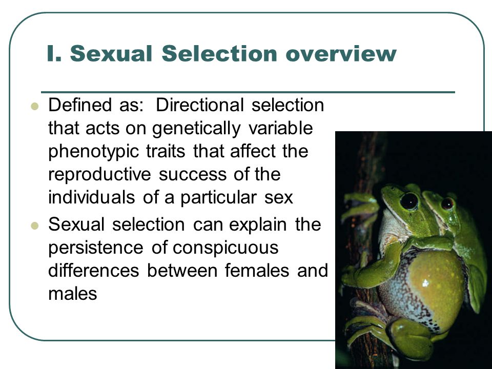 Experiments In Sexual Selection And Sensory Bias In Autonomous Robots