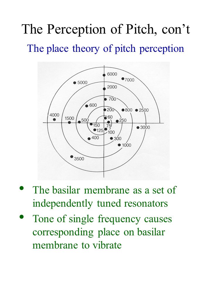 Place theory of pitch cannot account forex marcelo gameiro forex converter