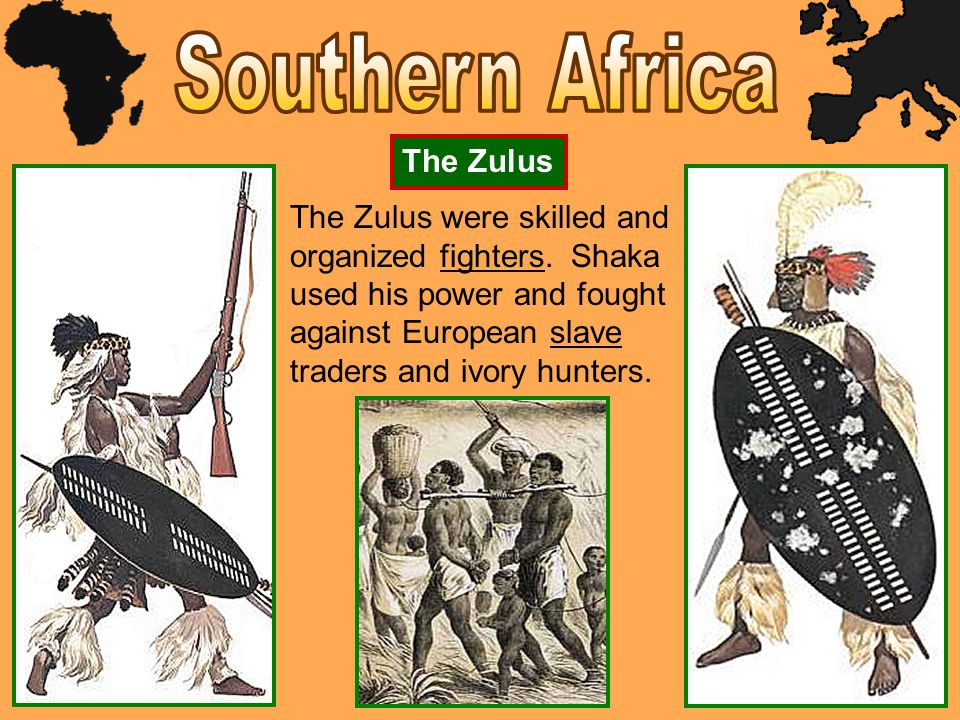 The Zulus The Zulus were skilled and organized fighters.