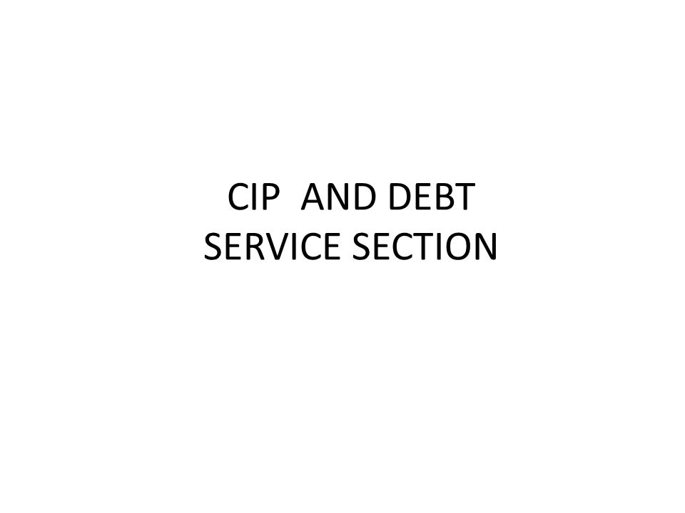 CIP AND DEBT SERVICE SECTION