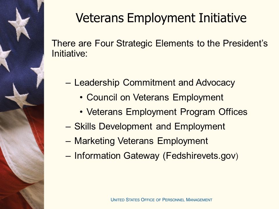 Veterans Employment Initiative There are Four Strategic Elements to the President’s Initiative: –Leadership Commitment and Advocacy Council on Veterans Employment Veterans Employment Program Offices –Skills Development and Employment –Marketing Veterans Employment –Information Gateway (Fedshirevets.gov )