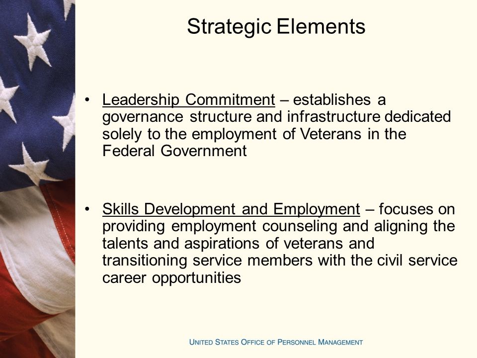 Strategic Elements Leadership Commitment – establishes a governance structure and infrastructure dedicated solely to the employment of Veterans in the Federal Government Skills Development and Employment – focuses on providing employment counseling and aligning the talents and aspirations of veterans and transitioning service members with the civil service career opportunities
