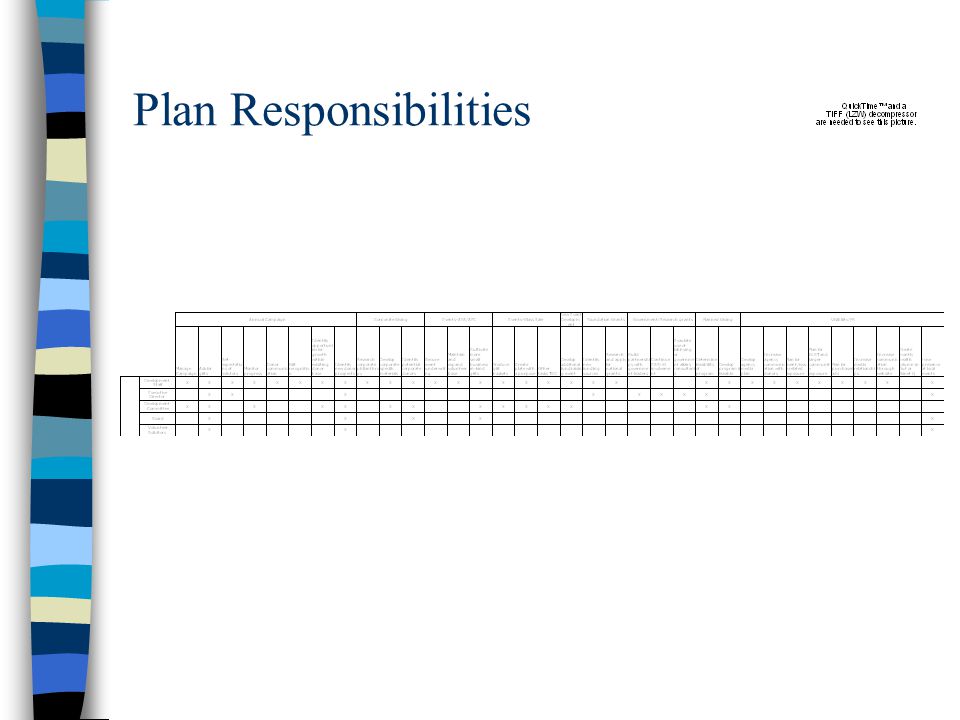 Plan Responsibilities